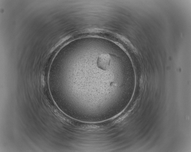 X0000083651209200702261107