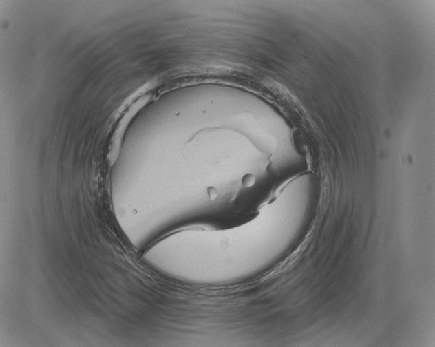 X0000083651210200702261107