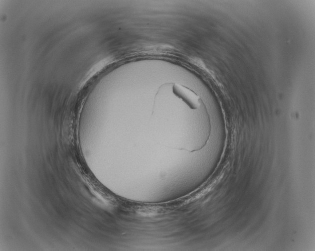 X0000083651211200702261107