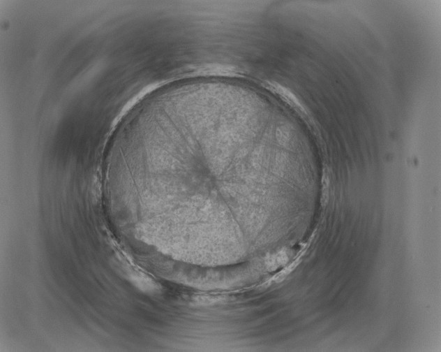 X0000083651212200702261107