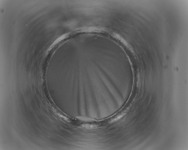 X0000083651213200702261107