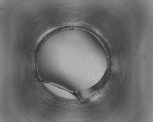 X0000083651214200702261107