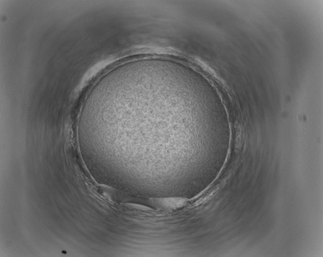 X0000083651215200702261107