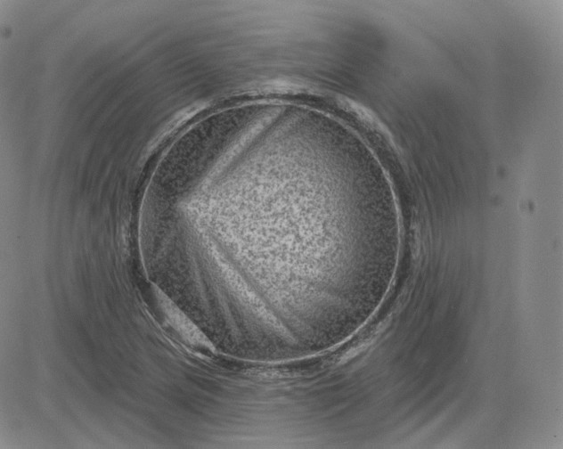 X0000083651217200702261107