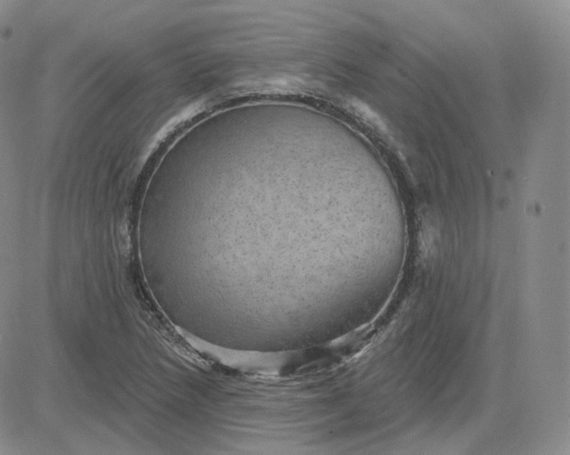 X0000083651218200702261107