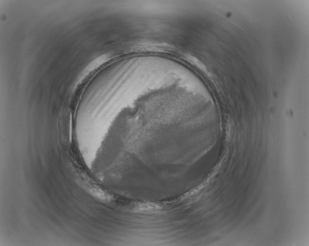 X0000083651219200702261107