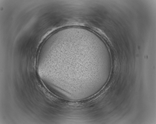 X0000083651220200702261107