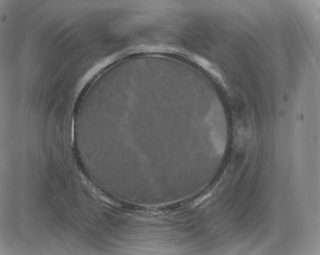 X0000083651221200702261107