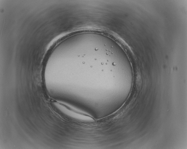 X0000083651222200702261107