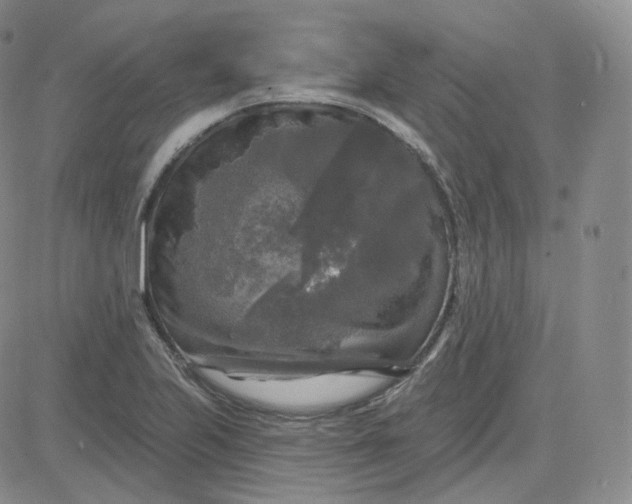 X0000083651223200702261107