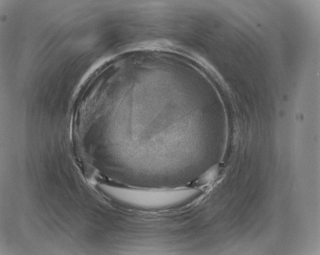 X0000083651224200702261108