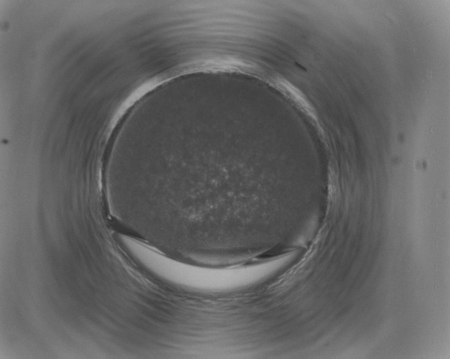 X0000083651226200702261108