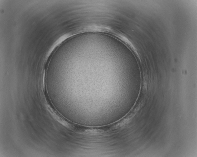 X0000083651227200702261108