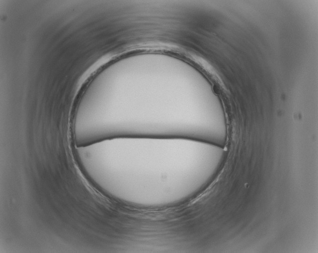 X0000083651229200702261108