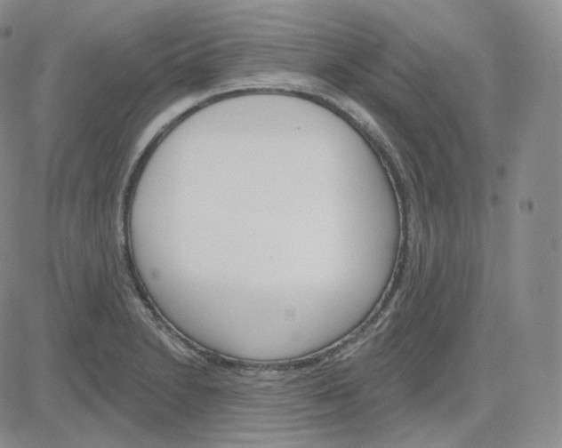 X0000083651230200702261108