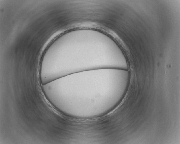 X0000083651232200702261108