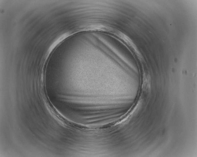 X0000083651234200702261108