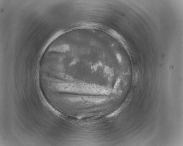 X0000083651235200702261108