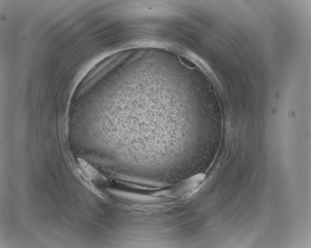 X0000083651236200702261108