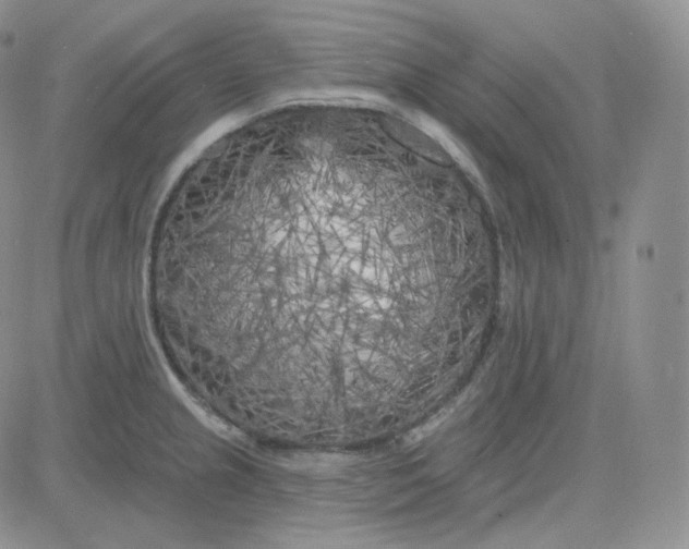 X0000083651237200702261108