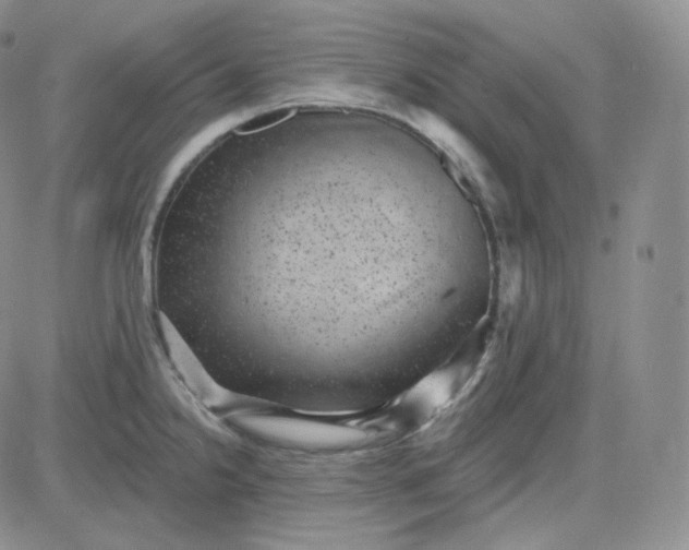 X0000083651238200702261108