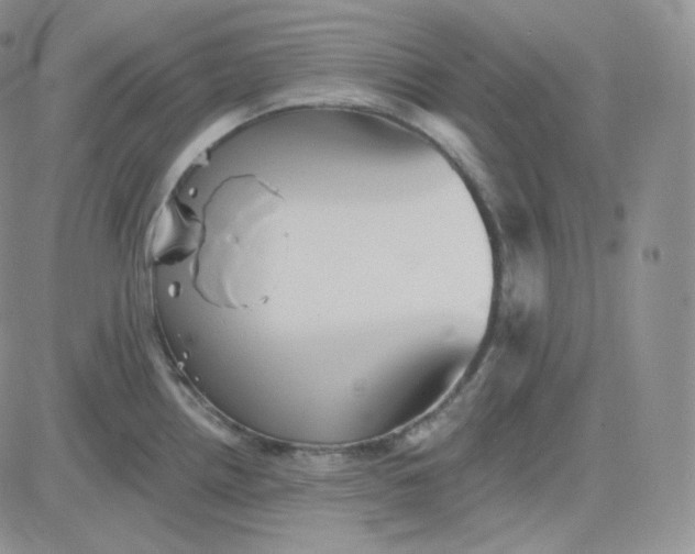 X0000083651242200702261108