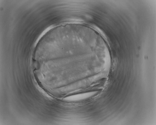 X0000083651243200702261108