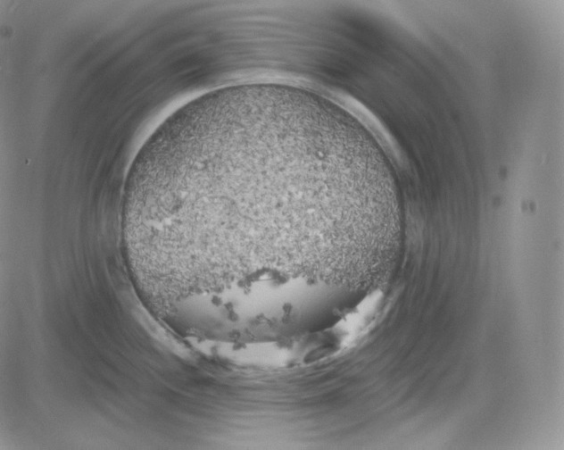 X0000083651244200702261108