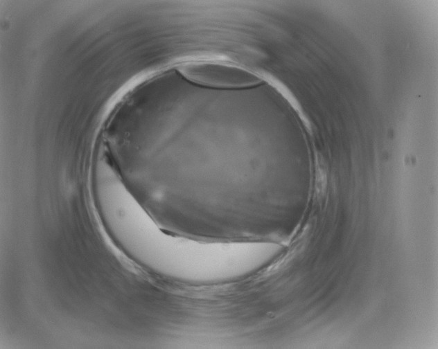 X0000083651245200702261108