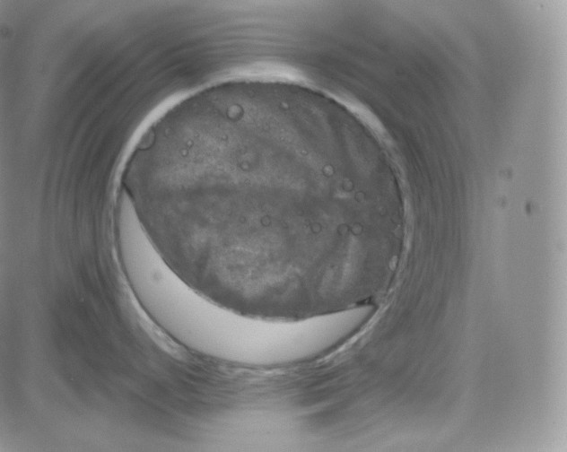 X0000083651248200702261108