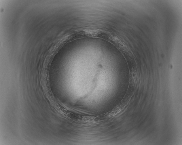 X0000083651249200702261107