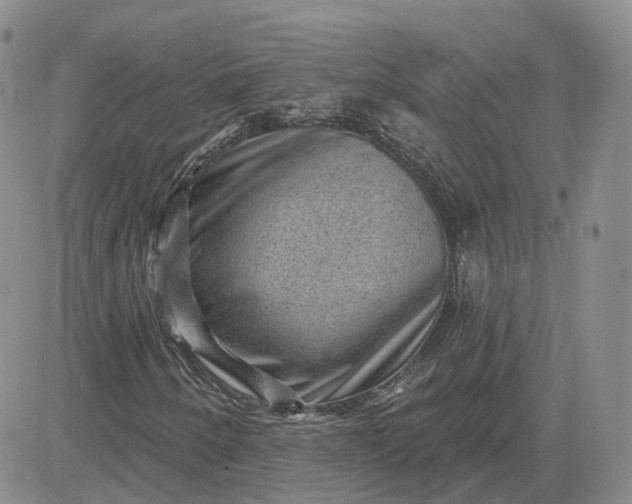 X0000083651250200702261107