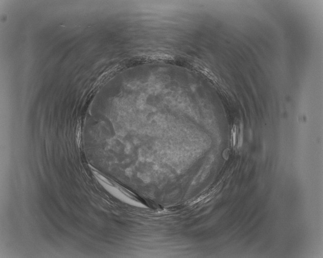 X0000083651251200702261107