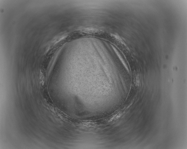 X0000083651253200702261107