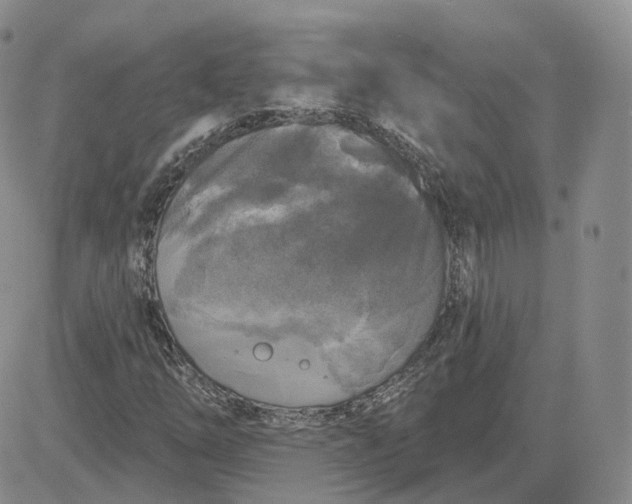 X0000083651254200702261107