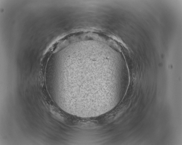 X0000083651256200702261107