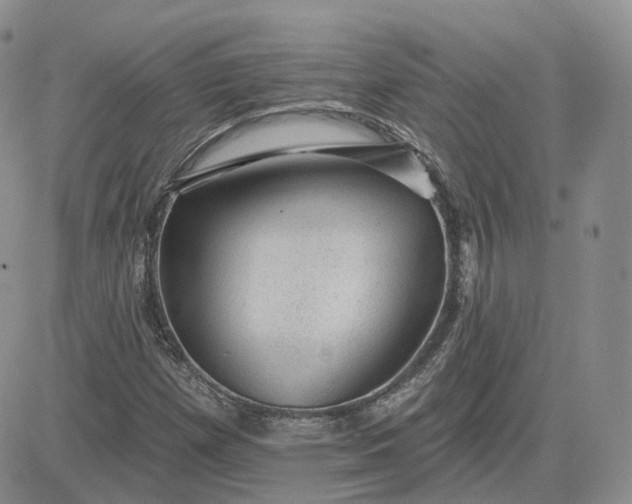 X0000083651257200702261107