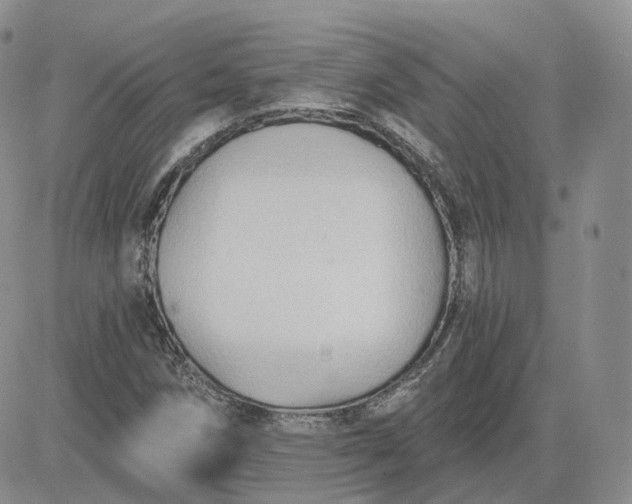 X0000083651258200702261107