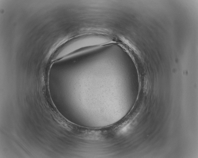 X0000083651261200702261107