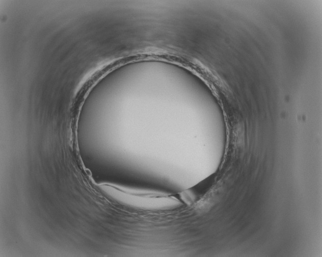 X0000083651262200702261107