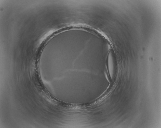 X0000083651263200702261107