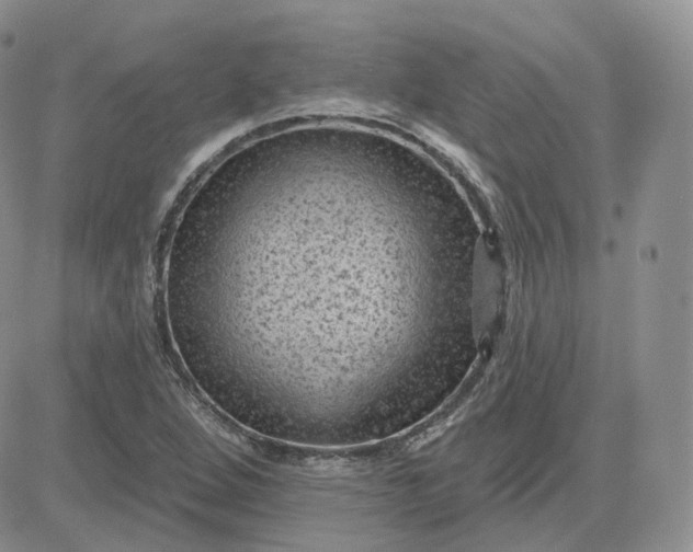 X0000083651264200702261107