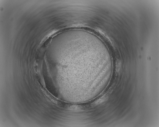 X0000083651265200702261107