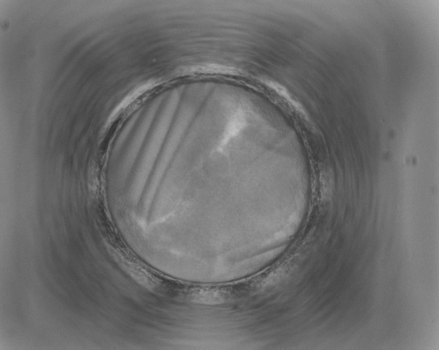 X0000083651266200702261107