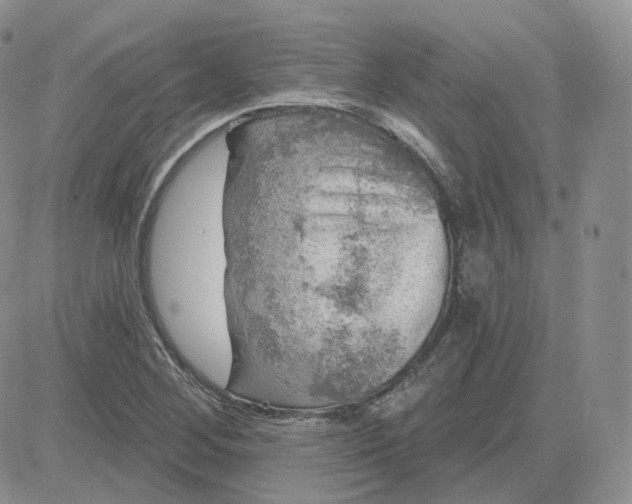 X0000083651268200702261107