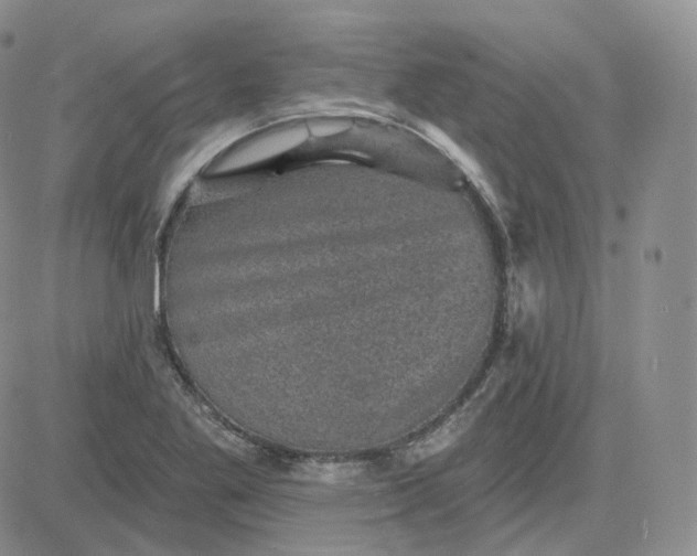 X0000083651269200702261107