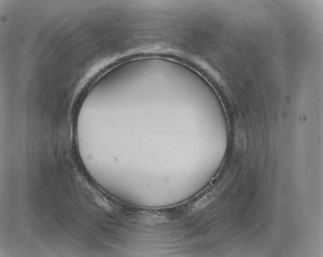 X0000083651270200702261107