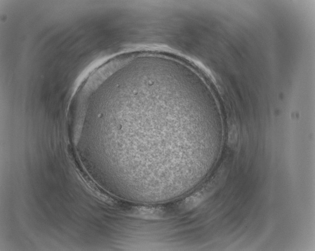 X0000083651271200702261107