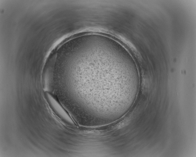 X0000083651272200702261107