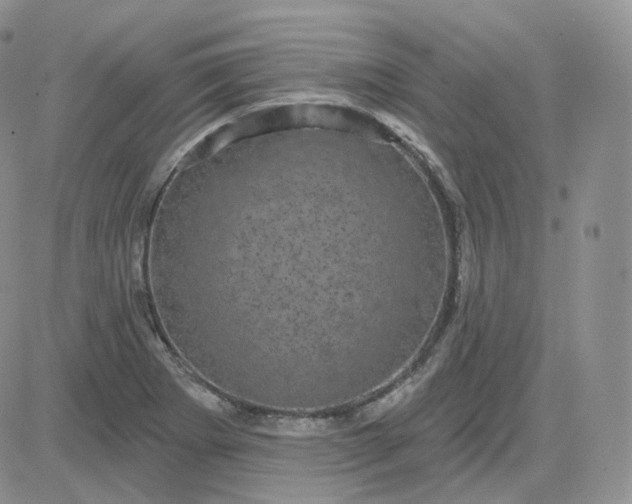 X0000083651273200702261107